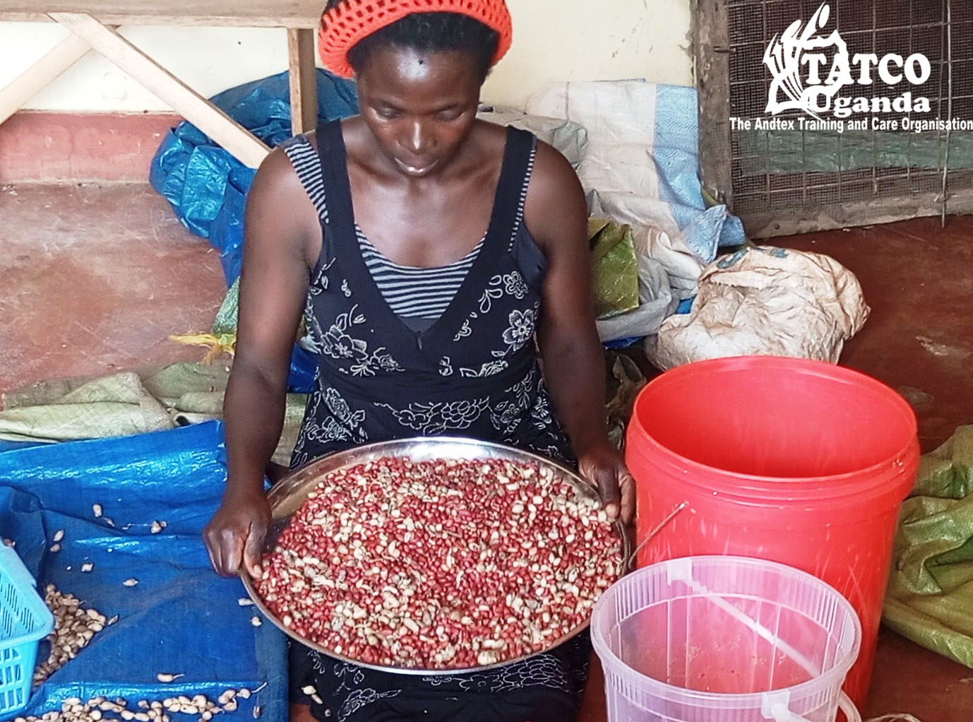 Women's economic empowerment beneficiaries with their businesses